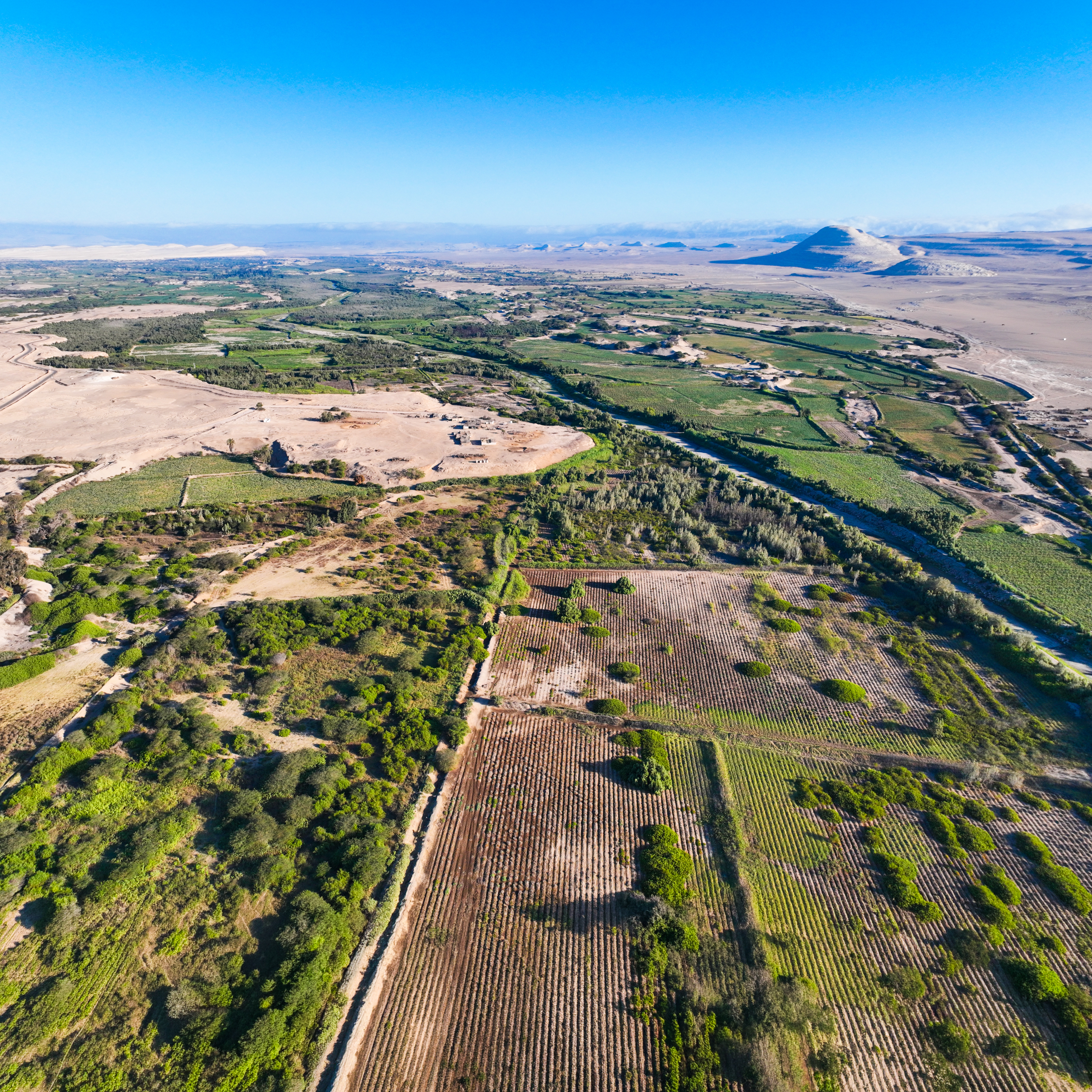 Valle de Ocucaje